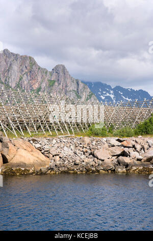 Übersicht von Regalen für die Trocknung Stockfisch im Lofoten in Norwegen Stockfoto