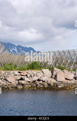 Übersicht von Regalen für die Trocknung Stockfisch im Lofoten in Norwegen Stockfoto