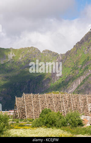 Übersicht von Regalen für die Trocknung Stockfisch im Lofoten in Norwegen Stockfoto