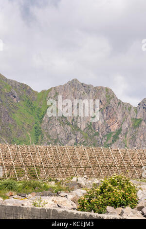 Übersicht von Regalen für die Trocknung Stockfisch im Lofoten in Norwegen Stockfoto