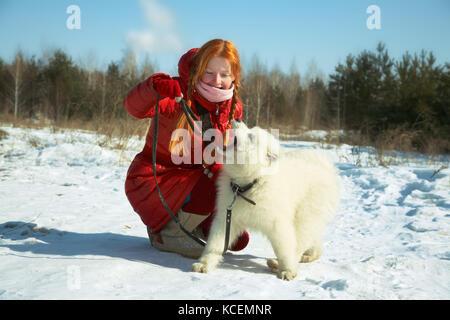 Samoyed Husky mit Eigentümer Stockfoto