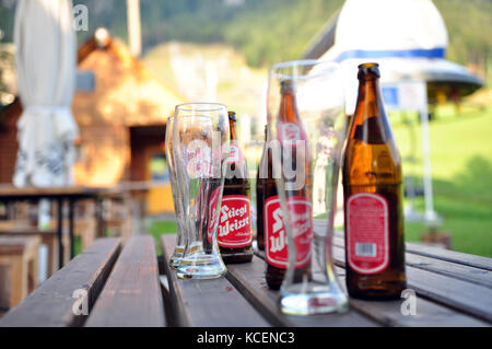 Bierflaschen und Gläser auf einem Picknicktisch Stockfoto