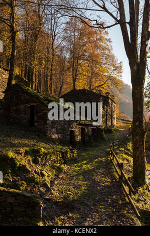 Herbst im Mulini di Piero, Curiglia con Monteviasco, veddasca Tal, Varese, Lombardei, Italien. Stockfoto