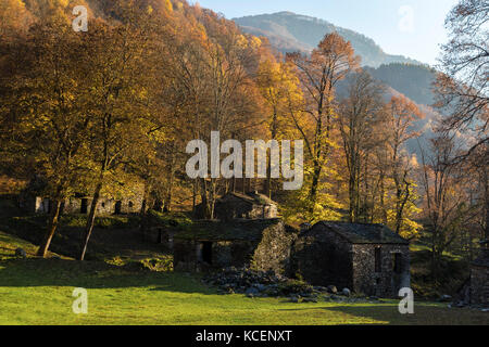 Herbst im Mulini di Piero, Curiglia con Monteviasco, veddasca Tal, Varese, Lombardei, Italien. Stockfoto