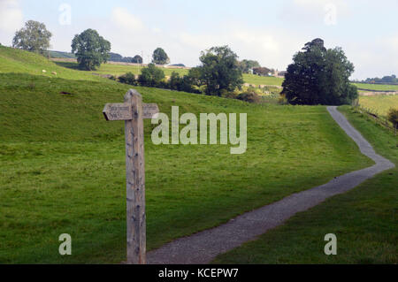Holzschild für den Dales Way Wanderweg zwischen Grassington & Burnsell in Wharfedale, Yorkshire Dales National Park, England, Großbritannien. Stockfoto