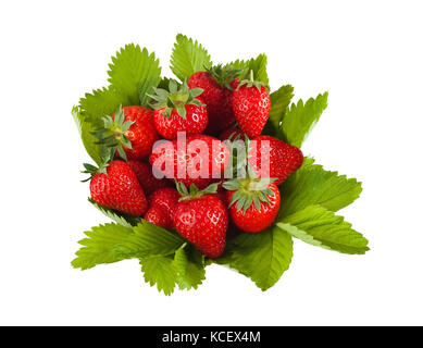 Erdbeeren mit Blättern auf weißem Hintergrund. Stockfoto