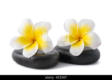 Frangipani Blüten auf zen Kieselsteine isoliert auf weißem Stockfoto