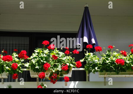 hochzeit blumenstnder Blumenstnder, Metall, wei  Herznah