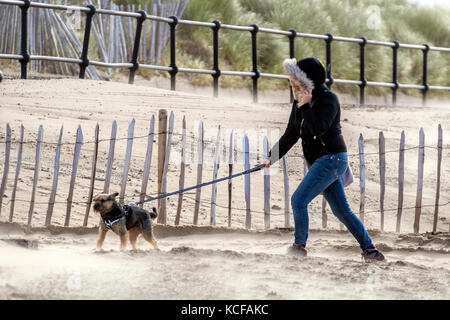 Crosby, Merseyside. UK Wetter. 5. Oktober 2017. Hohe Winde, feine Sand vom Strand wie Stürme weiter der Westküste zu zerschlagen und der Mündung des Flusses Mersey. Sand Dune mit einem Holzzaun Gebäude liegt an der Küste von der charakteristischen onshore Wind half. Planierarbeiten hat eine gemeinsame Form der künstliche Düne Bau geworden, zum Teil, weil die Vegetation & fechten Ansatz einige Zeit trap Sand nimmt und eine neue Düne bauen. Stockfoto