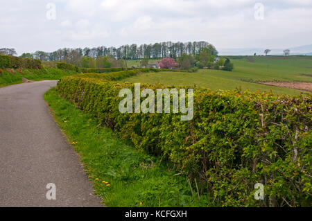 Landschaft entlang der West Highland Way, Schottland Stockfoto
