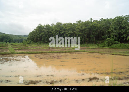 Besuch der Natur in Chiang Rai, akha Bergdorf Stockfoto