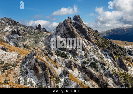 Pine Tree und der erste Schnee in den Karpaten, Rumänien Stockfoto