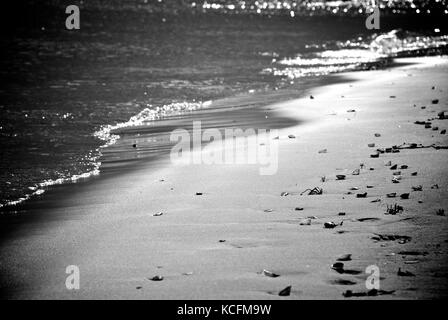 Strand Stockfoto