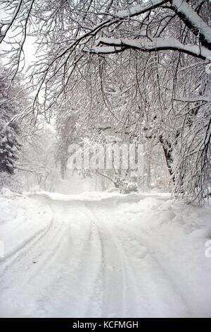 Tiefer Schnee erzeugt eine Winterlandschaft nach einem Blizzard. Stockfoto