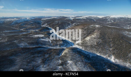 Camanak, Kaffee, Latte Creek Creek, Yukon, Kanada, Stockfoto