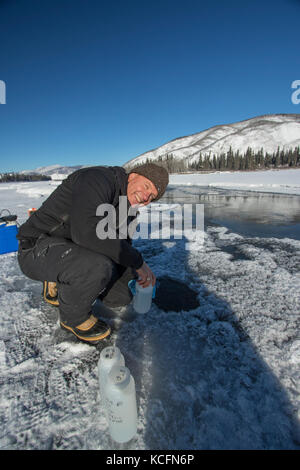 Coffee Creek, latte Creek, Yukon, camanak, Kanada Stockfoto