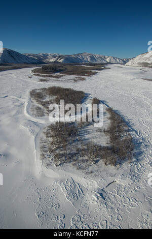 Camanak, Kanada, Coffee Creek, Latte Creek, Yukon Stockfoto