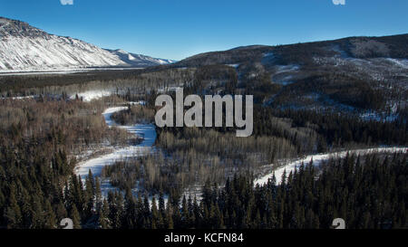 Coffee Creek, Latte Creek, Camanak, Yukon, Kanada Stockfoto