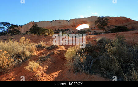 Am frühen Morgen Sonnenlicht strömt durch Wilson Arch, außerhalb der Arches Nationalpark in der Wüste von Utah Wildnis Stockfoto