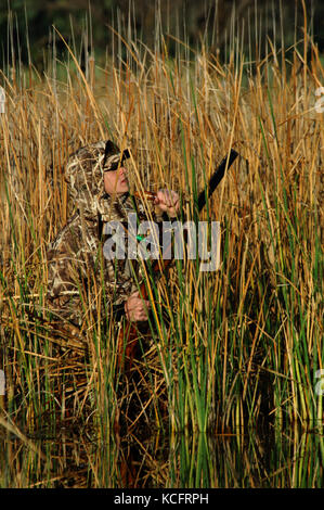 Eine Ente, Hunter in der Tarnung anrufe Enten aus einem Sumpf in South Texas Stockfoto