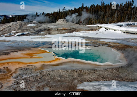 Bunte Thermalquelle mit dampfenden Geysiren im Hintergrund dieses Winter Yellowstone National Park Landschaft Stockfoto