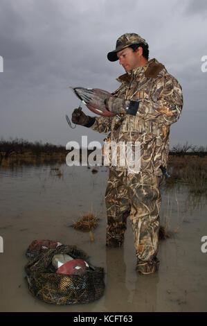 Eine Ente, Hunter in der Tarnung legt seine Jagd Lockvögel in einem South Texas Marsh Stockfoto