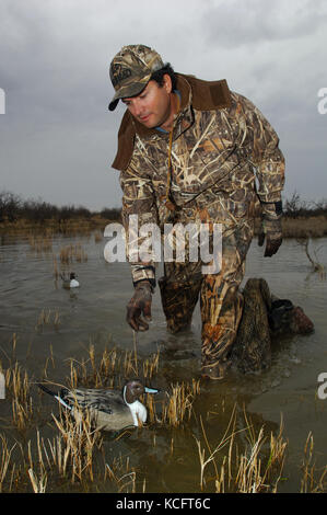 Eine Ente, Hunter in der Tarnung legt seine Jagd Lockvögel in einem South Texas Marsh Stockfoto