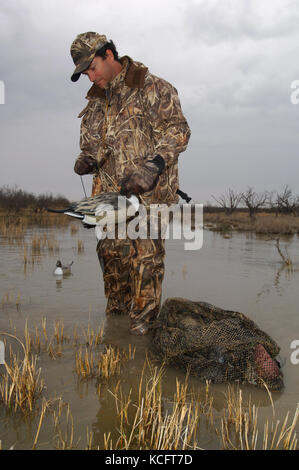 Eine Ente, Hunter in der Tarnung legt seine Jagd Lockvögel in einem South Texas Marsh Stockfoto