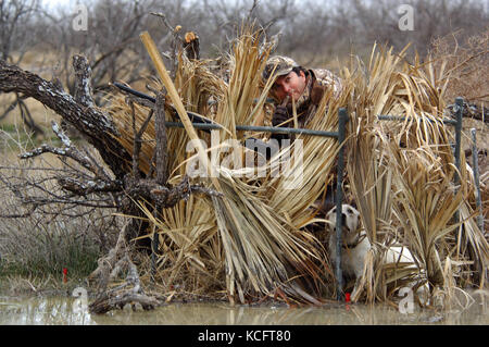 Eine Ente, Hunter in der Tarnung anrufe Enten aus einem Sumpf in South Texas Stockfoto