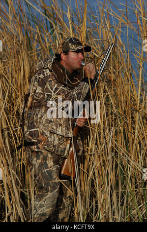 Eine Ente, Hunter in der Tarnung anrufe Enten aus einem Sumpf in South Texas Stockfoto