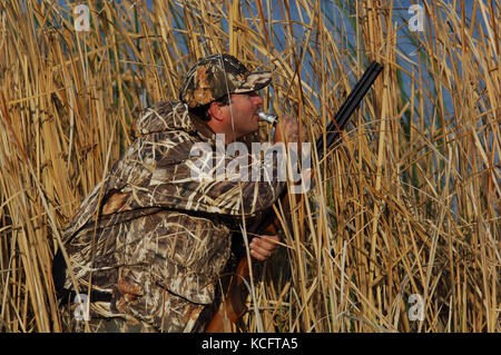 Eine Ente, Hunter in der Tarnung anrufe Enten aus einem Sumpf in South Texas Stockfoto