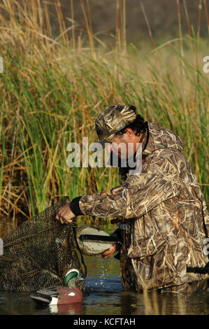 Eine Ente, Hunter in der Tarnung legt seine Jagd Lockvögel in einem South Texas Marsh Stockfoto