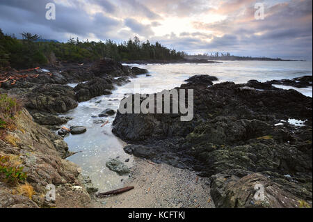 Browns Beach Hotel, Wild Pacific Trail, Ucluelet, Vancouver Island, BC, Kanada Stockfoto