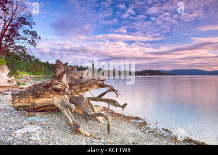 Patricia Bay, North Saanich, Vancouver Island, British Columbia, Kanada Stockfoto