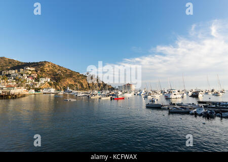 Weite Aussicht, ruhiges Wasser, Avalon Hafen, gegenüber dem Casino mit Yachten, Fischerboote und Segelboote in der Bucht suchen. Luxus Resort, touristische Attraktion Stockfoto