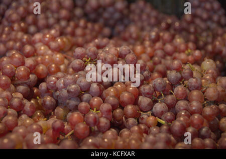 Trauben Cluster Bunch Red Bulk Tisch Wein Bauern Markt Bio Fersh Obst Gemüse Stockfoto