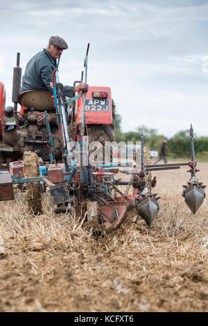 Oldtimer Traktor Pflügen Wettbewerb auf Fairford, Faringdon, Filkins und Burford Pflügen Gesellschaft zeigen. Lechlade an der Themse, Gloucestershire, VEREINIGTES KÖNIGREICH Stockfoto