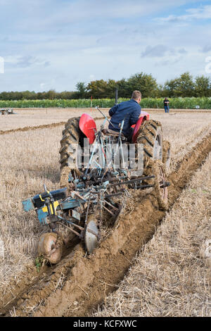Oldtimer Traktor Pflügen Wettbewerb auf Fairford, Faringdon, Filkins und Burford Pflügen Gesellschaft zeigen. Lechlade an der Themse, Gloucestershire, VEREINIGTES KÖNIGREICH Stockfoto