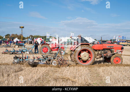 Oldtimer Traktor Pflügen Wettbewerb auf Fairford, Faringdon, Filkins und Burford Pflügen Gesellschaft zeigen. Lechlade an der Themse, Gloucestershire, VEREINIGTES KÖNIGREICH Stockfoto