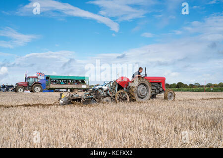 Oldtimer Traktor Pflügen Wettbewerb auf Fairford, Faringdon, Filkins und Burford Pflügen Gesellschaft zeigen. Lechlade an der Themse, Gloucestershire, VEREINIGTES KÖNIGREICH Stockfoto