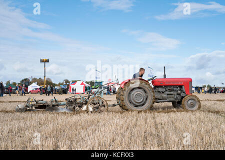 Oldtimer Traktor Pflügen Wettbewerb auf Fairford, Faringdon, Filkins und Burford Pflügen Gesellschaft zeigen. Lechlade an der Themse, Gloucestershire, VEREINIGTES KÖNIGREICH Stockfoto