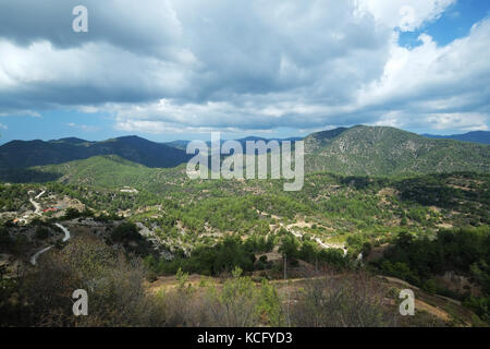 Wald in der Nähe von Paphos Paphos Kannaviou im Bezirk von Zypern. Stockfoto