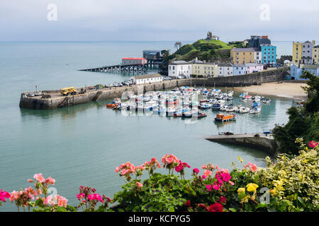 Hohe Aussicht auf den alten Hafen bei Flut im Pembrokeshire Coast National Park im Sommer. Tenby, Carmarthen Bay, Pembrokeshire, Wales, Großbritannien, Großbritannien Stockfoto