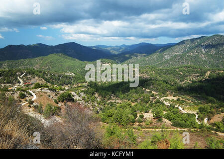 Wald in der Nähe von Paphos Paphos Kannaviou im Bezirk von Zypern. Stockfoto