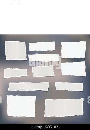 Gestreifte Hinweis, copybook zerrissen, notebook Papier steckt. Stock Vektor