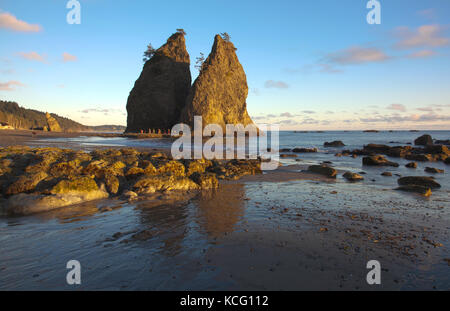 Rialto Strand Olympic National Park in Clallam County Seattle Washington Stockfoto
