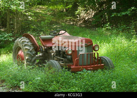 Alter Traktor im Überwuchs mit Frühlingshintergrund in einem kleinen Wald mit einer kühlen Brise auf dem Land Stockfoto