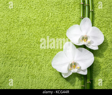 Zwei Orchideen und Zweige der Bambus liegen auf hellgrün Frotteehandtuch. Von oben gesehen. Stockfoto