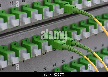 Optical Distribution Panels mit LWL-Kabel am passiven optischen Netzwerk Stockfoto