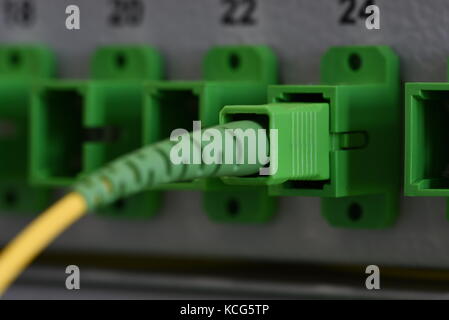 Optical Distribution Panels mit LWL-Kabel am passiven optischen Netzwerk Stockfoto